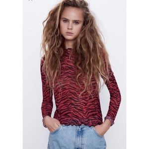 Zara Mesh Red + Black Zebra Striped Long Sleeve top Sz L